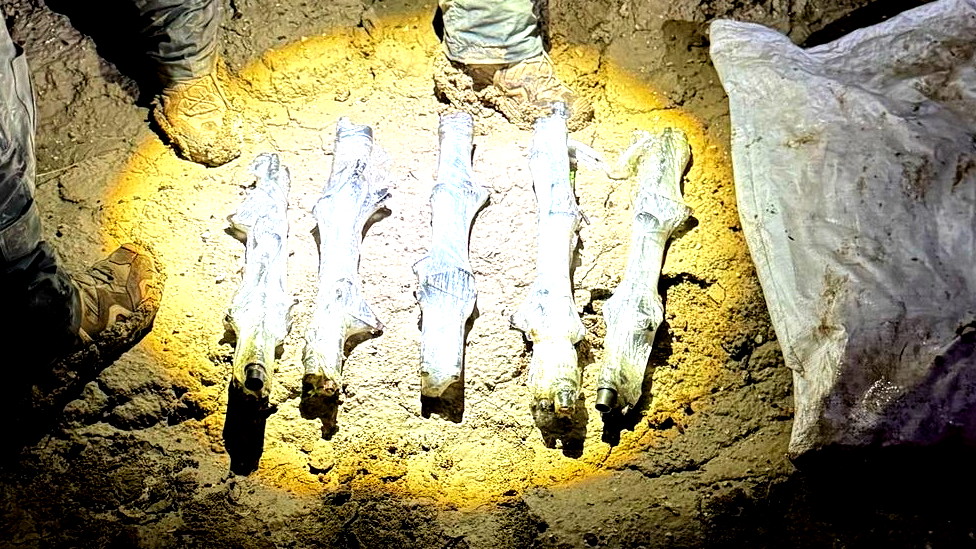 احباط تهريب أسلحة من الاردن