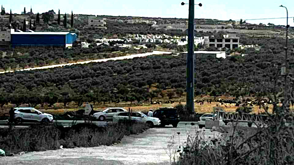 اعتقال شخصين تسللا من الأراضي الاردنية الى البلاد في منطقة البحر الميت