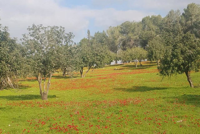 حالة الطقس: ارتفاع طفيف على درجات الحرارة مع بقاء الجو باردًا نسبيًا