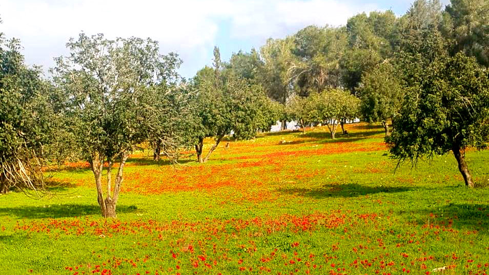 حالة الطقس: ارتفاع طفيف على درجات الحرارة مع بقاء الجو باردًا نسبيًا