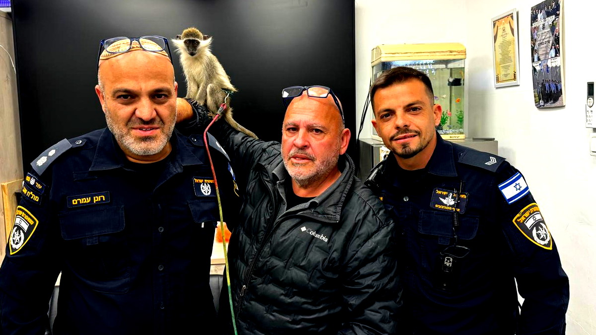 الشرطة: العثور على القرد الذي ظهر بفيديو مع شبل اسد في بير هداج بالنقب 