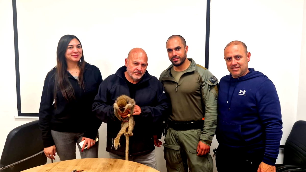 الشرطة: العثور على قرد ثاني بمنطقة قرية بير هداج في النقب