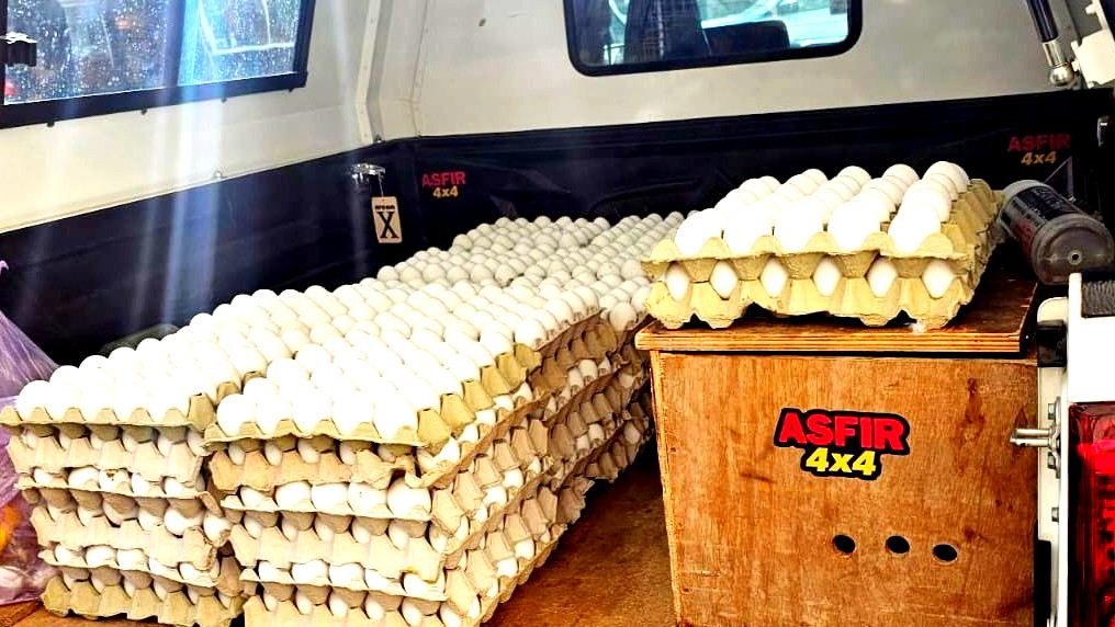 العثور على أكثر من 70 كرتونة بيض غير خاضعة للرّقابة في مدينة طمرة