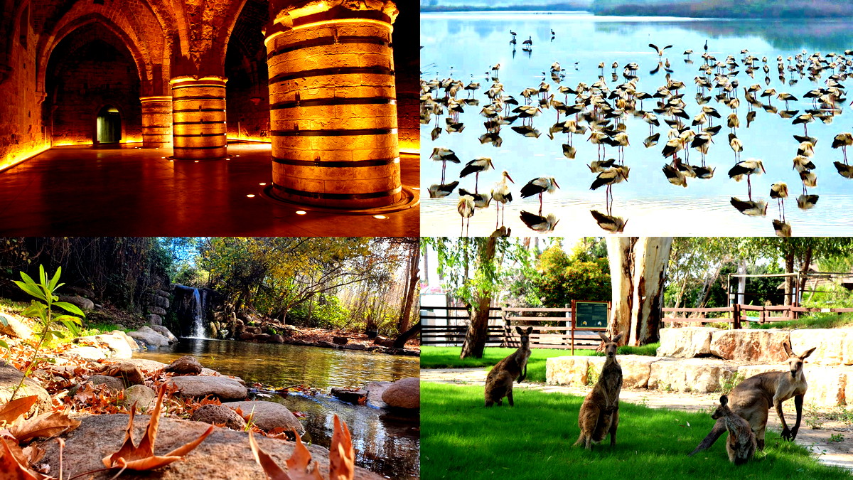 الشمال مفتوح وبستناكو، تعالوا - يدعو كل من مفعال هبايس والسلطات المحلية جميع مواطني البلاد للاستمتاع بعشرات المعالم الترفيهية والمواقع في الشمال مجانًا