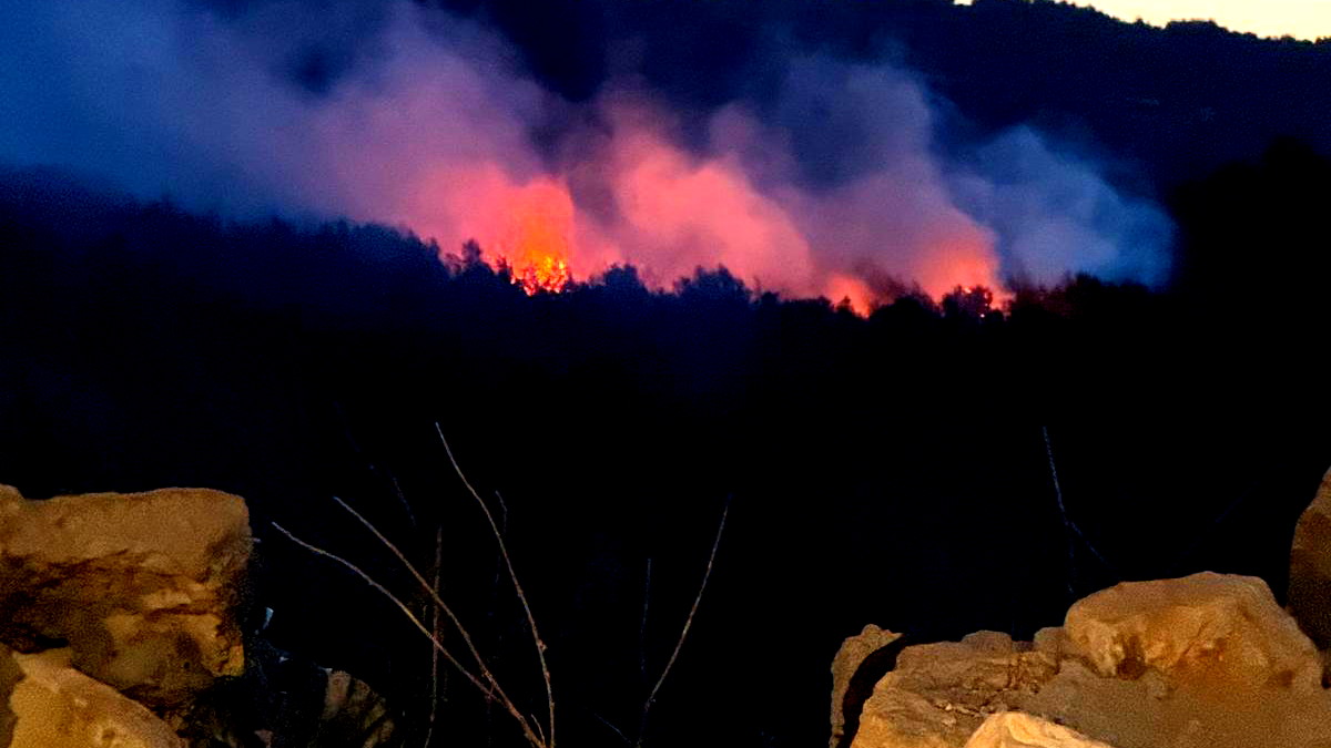 طواقم الإطفاء والإنقاذ تتمكن من السيطرة على حريق احراش في عين حوض