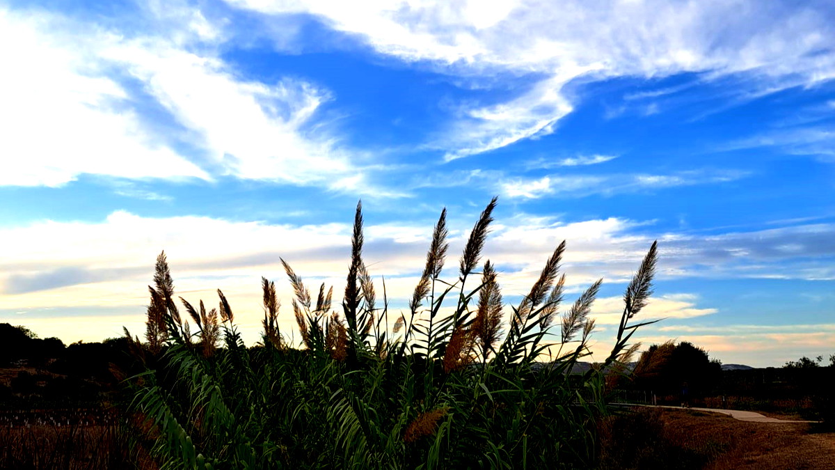 الطقس اليوم: ارتفاع في الحرارة نهارًا وأمطار متفرقة ليلًا