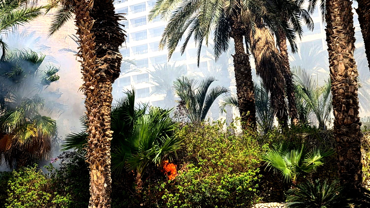 نشوب حريق بمنطقة مفتوحة بالقرب من أحد الفنادق في البحر الميت... لم يُبلغ عن إصابات