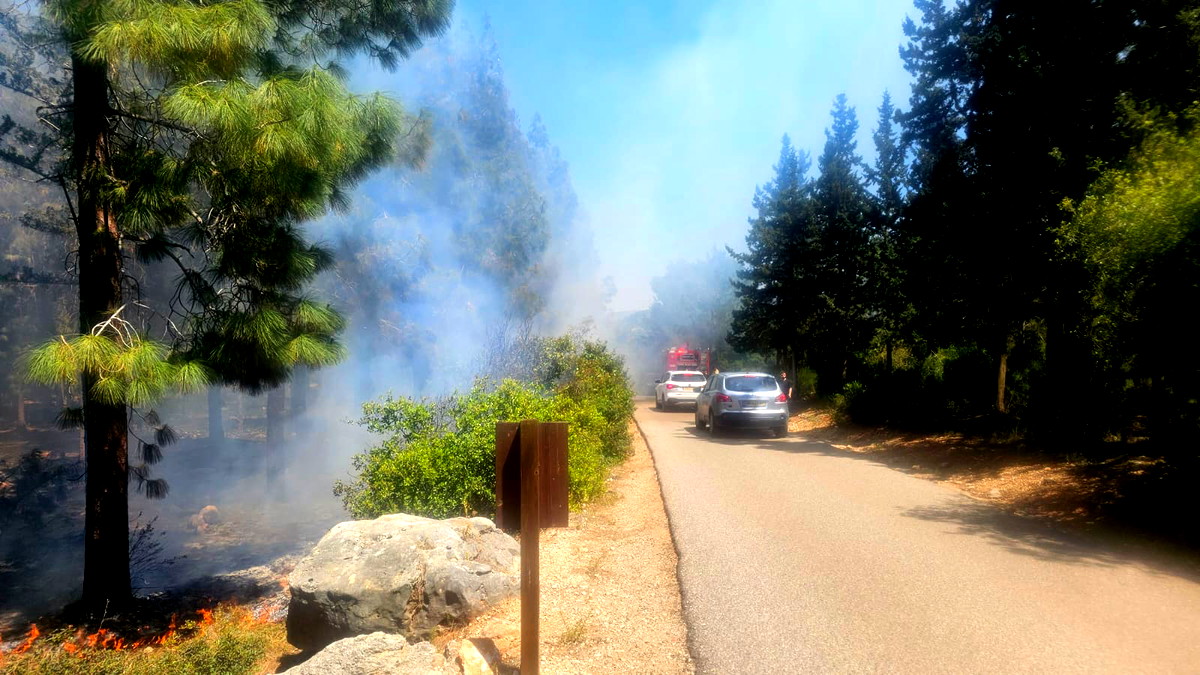 حريق في منطقة أحراش بمحيط مجد الكروم وطواقم الإطفاء والانقاذ تعمل على إخماده