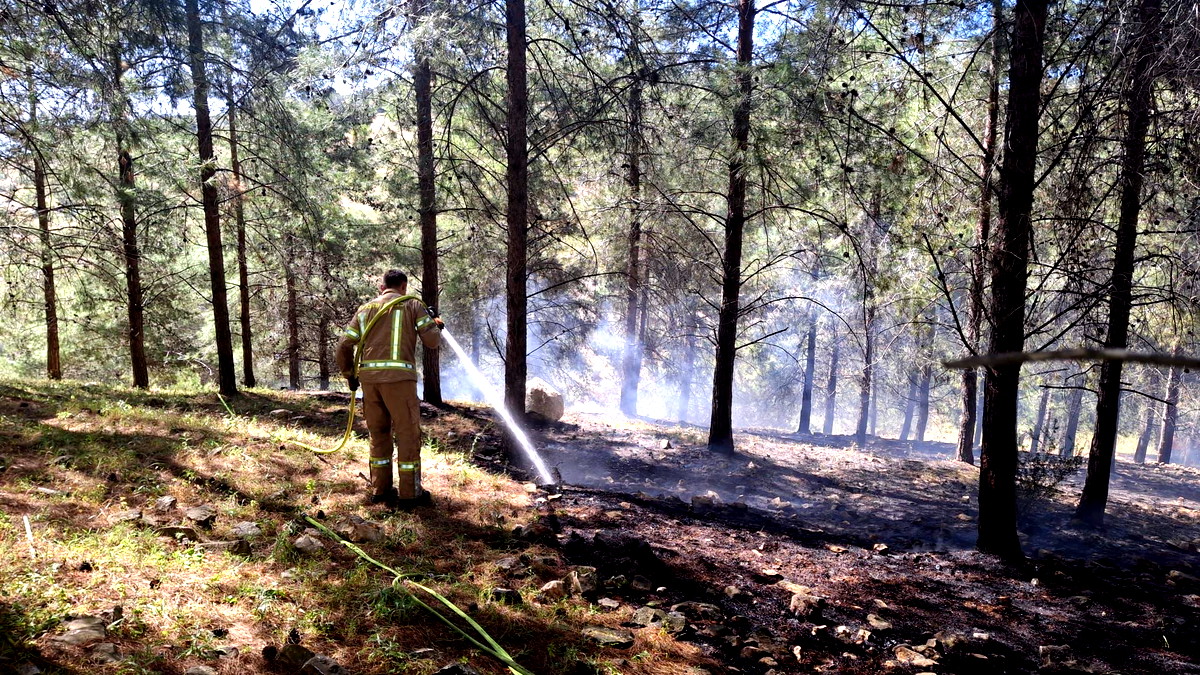 أم الفحم: حريق في منطقة احراش بمحيط البيار..سلطة الإطفاء تسيطر عليه