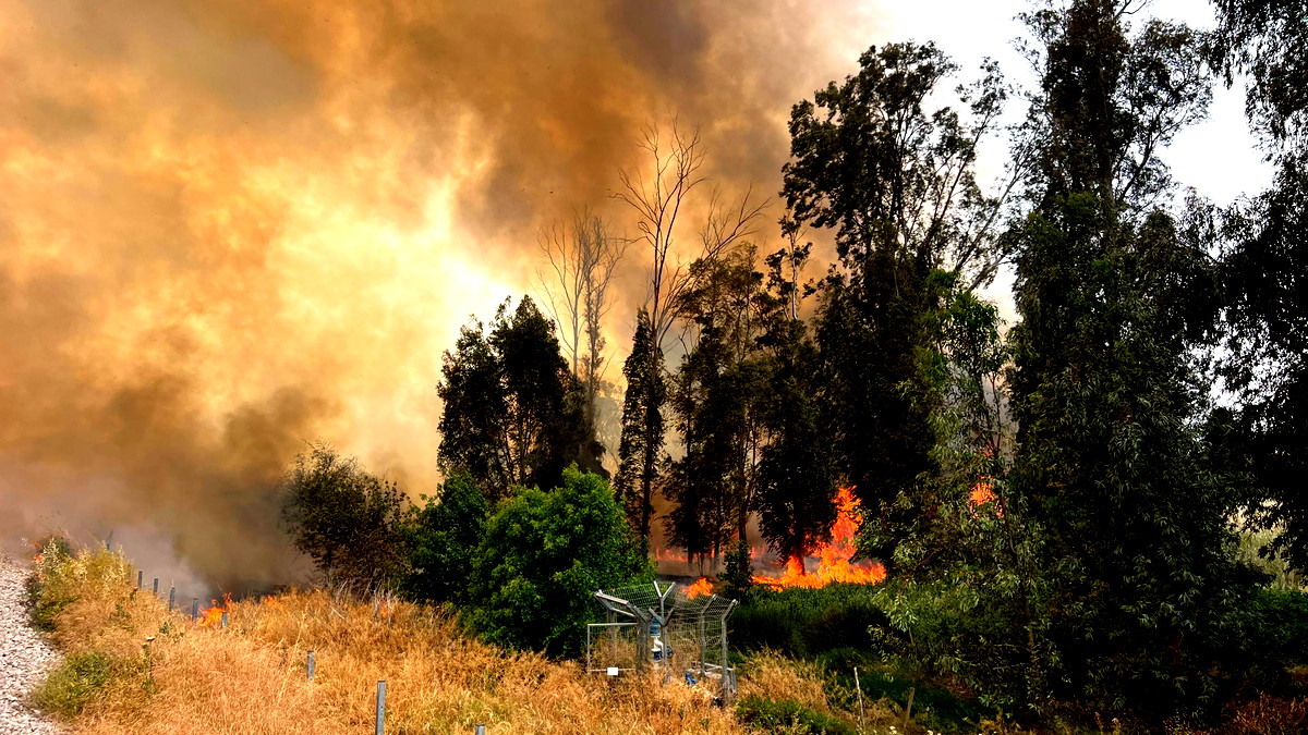 اغلاق شارع 6 باتجاه الجنوب بين نشريم وشورك جراء اندلاع حريق