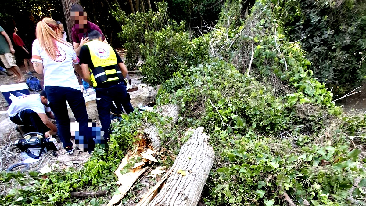 الكرمل: مصرع شخص واصابة اخرين بجراح متوسطة جراء سقوط شجرة عليهم في منطقة مفتوحة