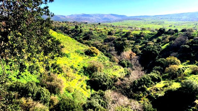 أجواء معتدلة مع ارتفاع طفيف على درجات الحرارة الأحد