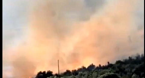 سلطة الإطفاء تحذر من إشعال النيران بعد السيطرة على حريق في عيلوط 