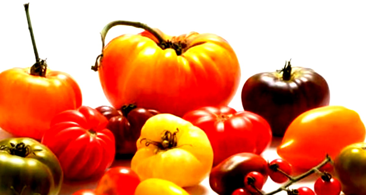 مع ارتفاع درجات الحرارة... أغذية تقوّي المناعة وتنعش الجسم 