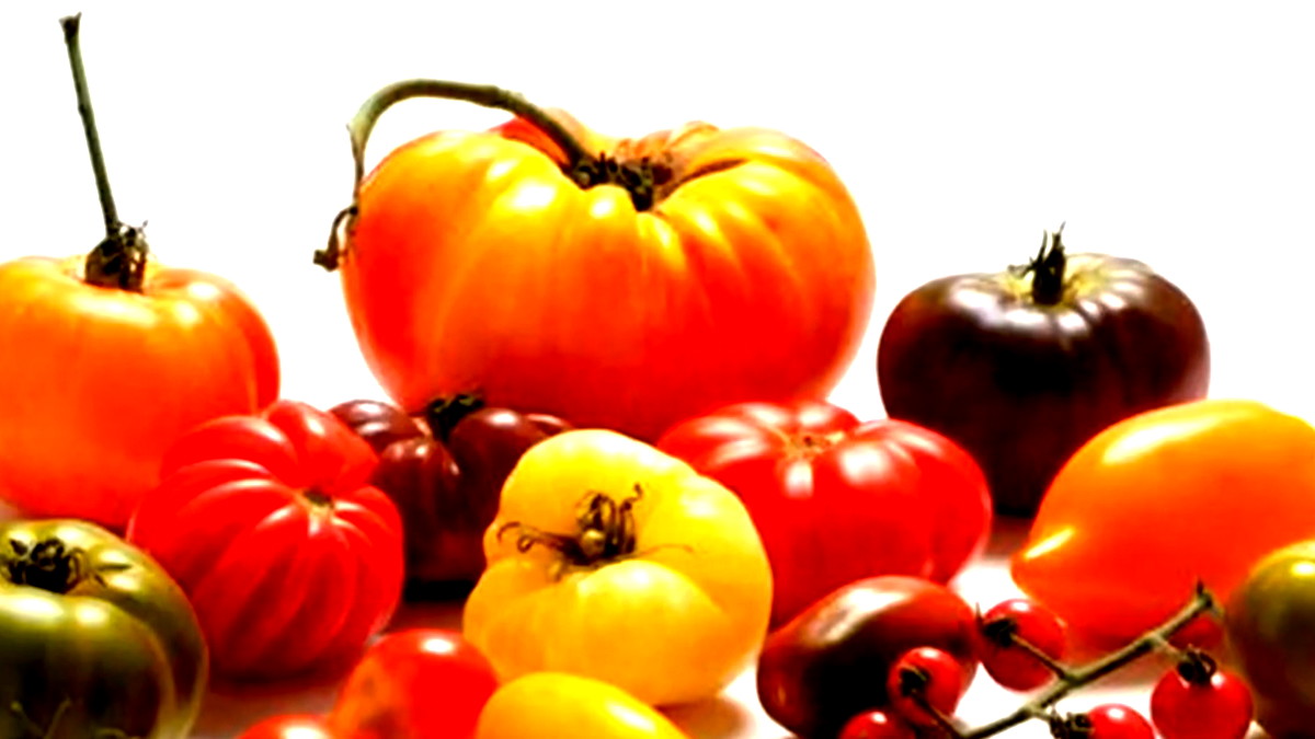 مع ارتفاع درجات الحرارة... أغذية تقوّي المناعة وتنعش الجسم