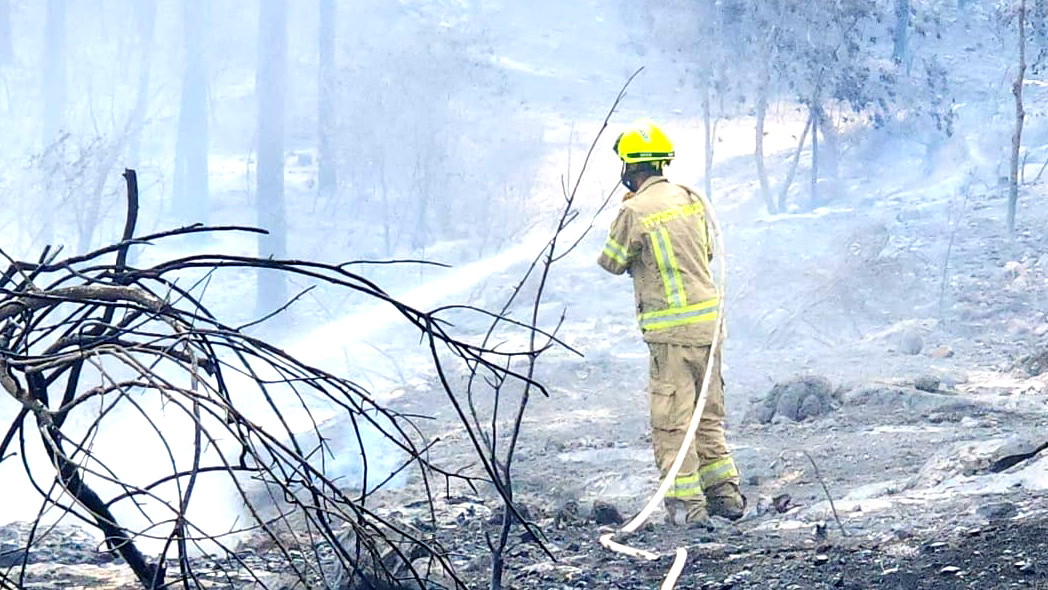 القناة 11 عن مسؤولين في سلطة الإطفاء: الحريق بمنطقة القدس ليس نتيجة حريق متعمد