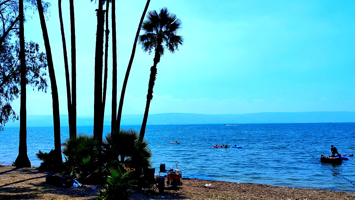 حالة الطّقس: أجواء ربيعية معتدلة ويطرأ انخفاض ملموس على درجات الحرارة