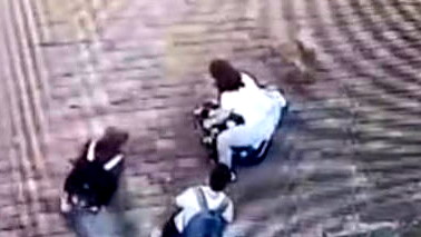 فيديو-نوف هجليل: اعتقال امرأة بشبهة الاعتداء على جارتها بعد توثيق تعذيب كلب