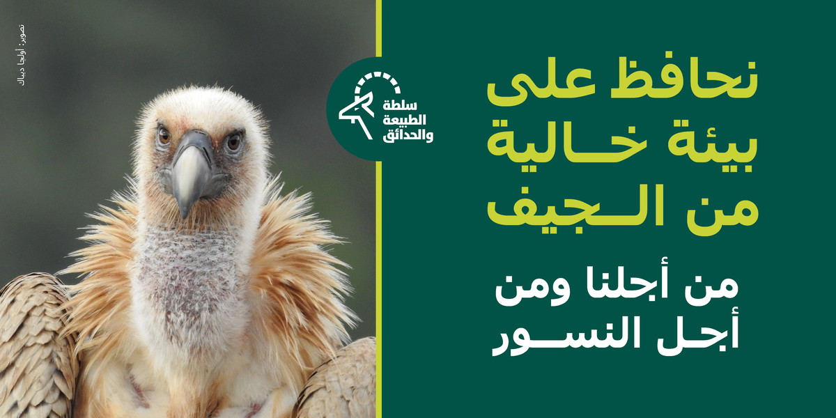نحافظ على بيئة خالية من الجيف، من أجلنا ومن أجل النسور!