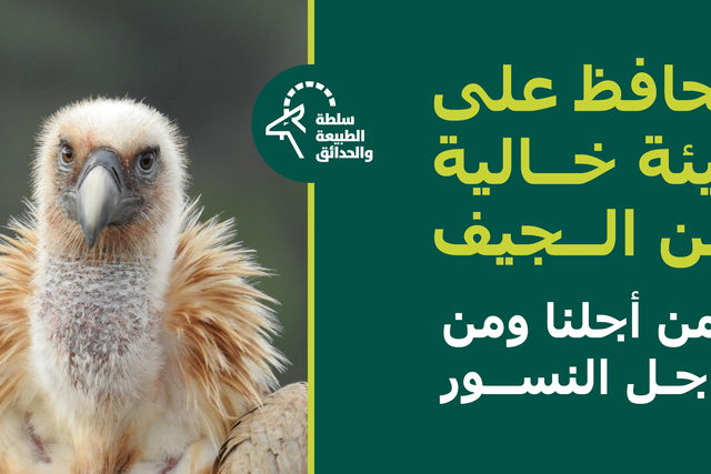 نحافظ على بيئة خالية من الجيف، من أجلنا ومن أجل النسور!