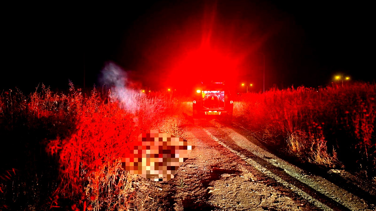 اندلاع حريق في منطقة مفتوحة بجلجولية والعثور على جثة شخص في المكان... الشرطة تحقق في الملابسات