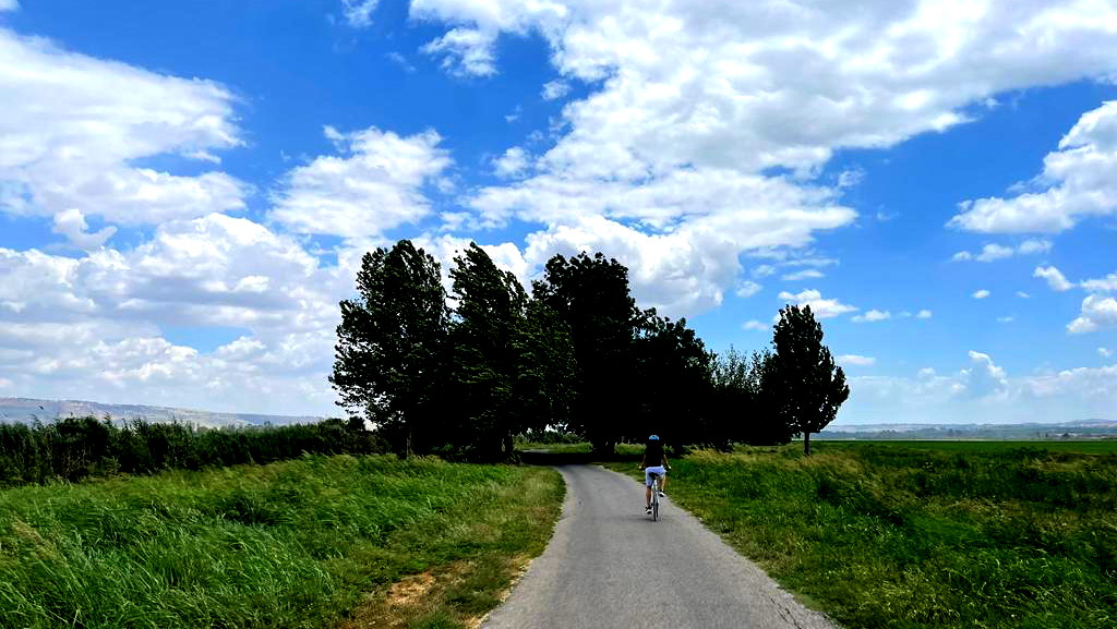 حالة الطّقس: أجواء غائمة جزئيًا معتدلة ويطرأ انخفاض ملموس على درجات الحرارة