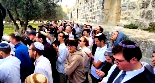في ظلّ حماية مشدّدة| عشرات المستوطنين اقتحموا ساحات المسجد الأقصى المبارك والمنطقة المحيطة به منذ ساعات الصّباح الأولى 