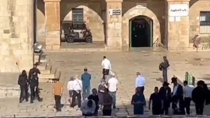 بحماية قوات الشرطة- عشرات المستوطنين يقتحمون باحات المسجد الأقصى ودعوات متواصلة للحشد وتكثيف الرباط