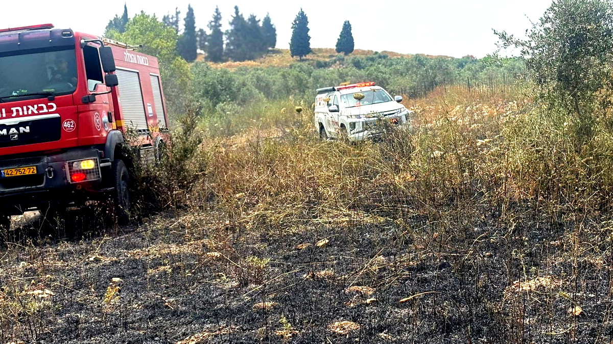  ام الفحم: حريق في كروم الزيتون قرب عين إبراهيم