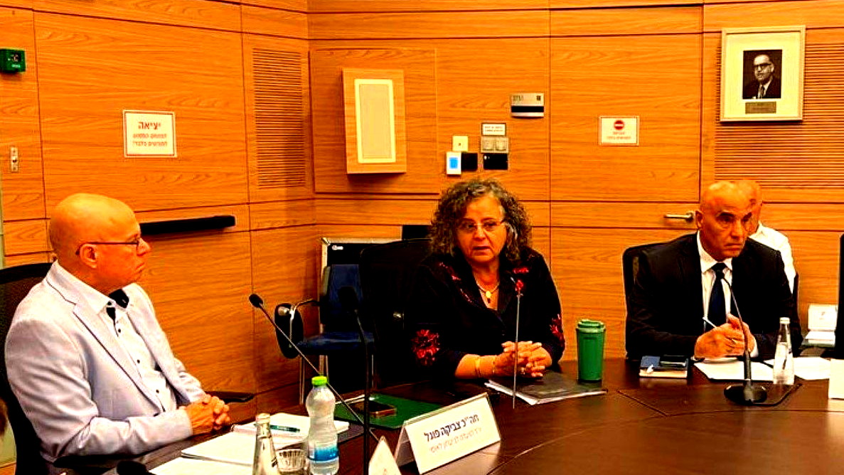 جلسة طارئة حول الجريمة في المجتمع العربي.. توما- سليمان: منحنى الجريمة في ارتفاع حاد وعمل الحكومة في انخفاض