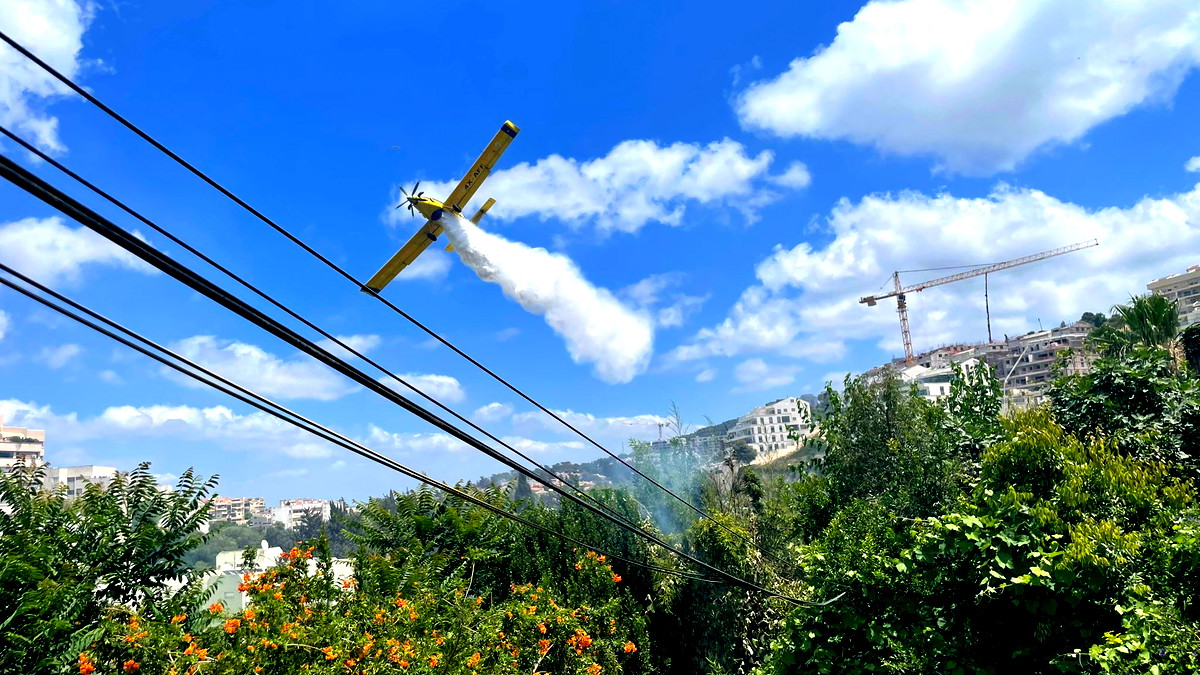 صور وفيديو| اندلاع حريق بمنطقة مفتوحة في مدينة حيفا... لم يُبلغ عن إصابات حتى اللّحظة