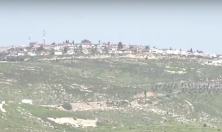 سياسة | كل العرب alarab