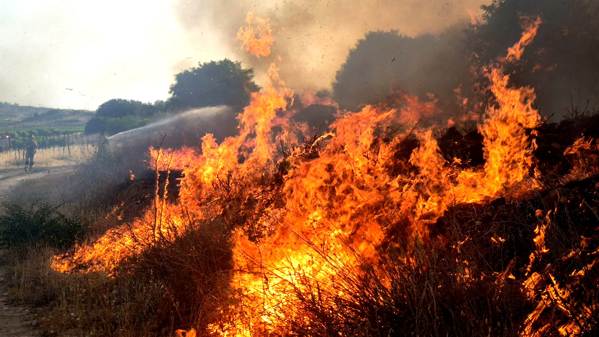 موديعين: حريق كبير في التلال الجنوبية وجهود مكثفة للسيطرة عليه
