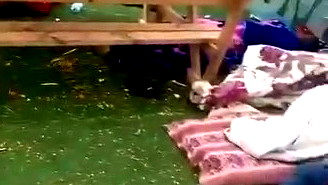 فيديو: عائلات من قرية السر بالنقب تنام في ساحات المدارس بعد هدم بيوتها 