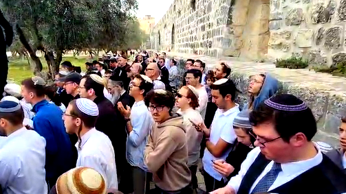 في ظلّ حماية مشدّدة| أكثر من 500 مستوطن اقتحموا الحرم القدسي الشّريف مُنذ ساعات الصّباح الأولى حتّى اللّحظة