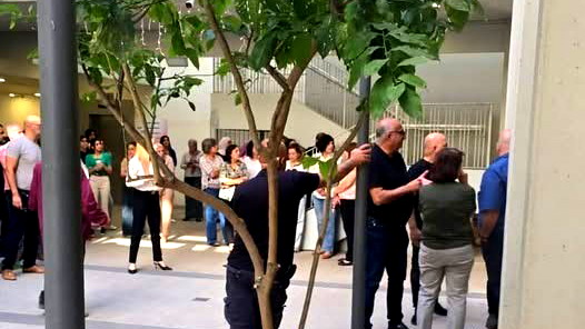 أزمة دفع المستحقات في الناصرة| موظفو البلدية ينظمون احتجاجًا على خلفية عدم صرف الرّواتب منذ أشهر عدّة