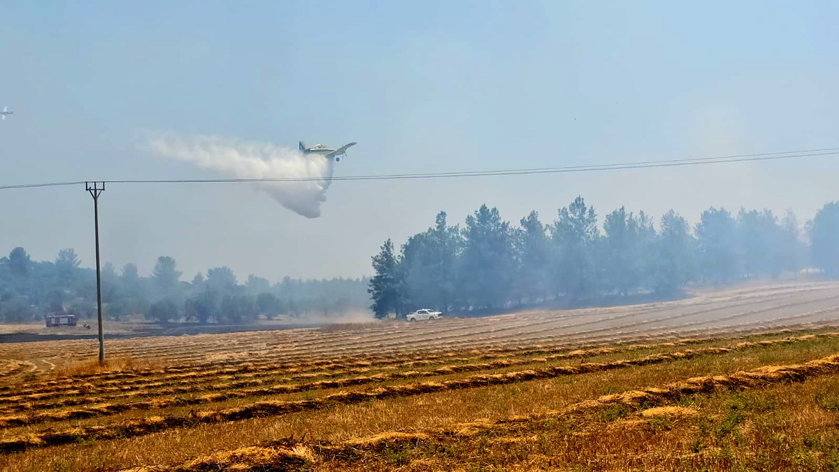 حريق كبير قرب منطقة احراش في حروفيت بمنطقة القدس وجهود من طواقم الاطفاء لاخماده