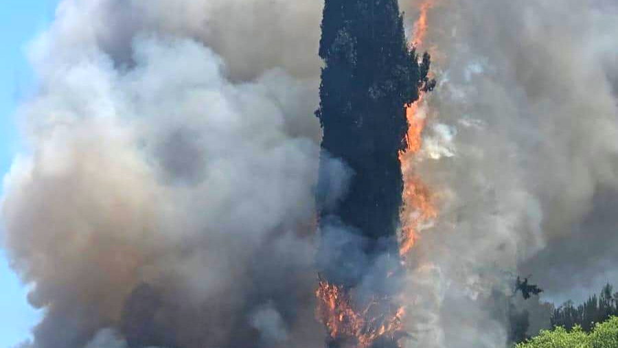 حريق بالقرب من حي هار نوف في القدس، وإخلاء مدرسة دينية وروضة أطفال