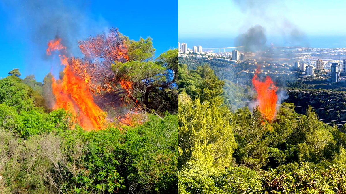 حريق في أحراش الكرمل بسبب شظايا ذخيرة.. تمت السيطرة عليه دون إصابات