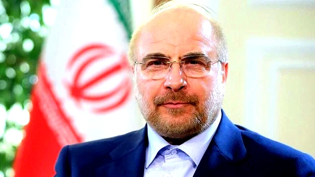 إعلام إيراني: البرلمان يصدق على مشروع قانون لتعليق التعاون مع الوكالة الدولية للطاقة الذرية