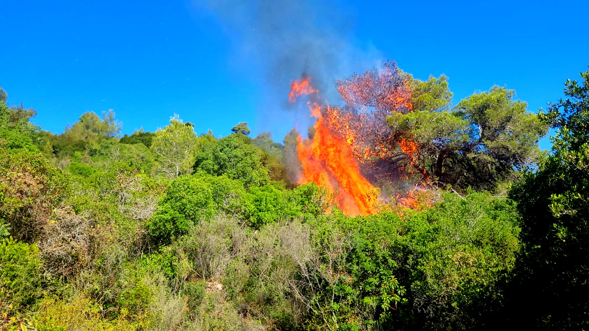 موجة حر شديدة تضرب البلاد من اليوم حتى الإثنين وقرار بمنع إشعال النار  في المحميات الطبيعية والحدائق