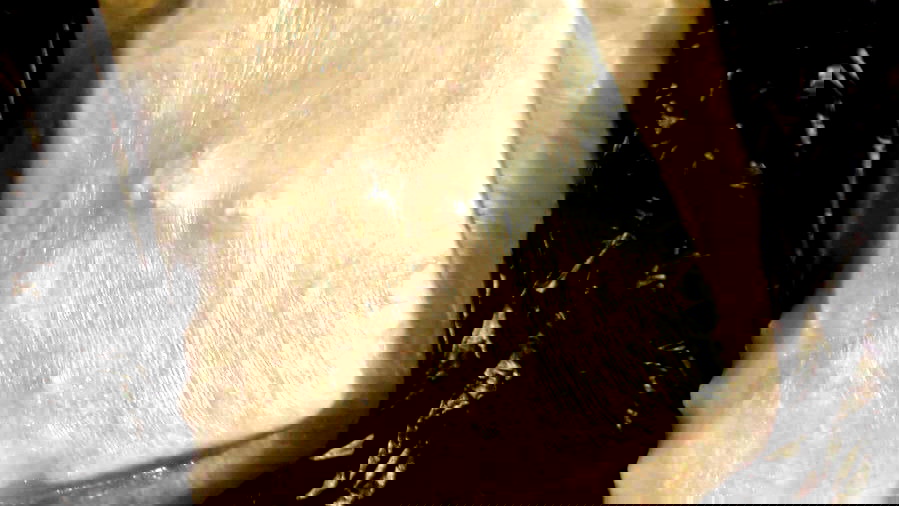 ضبط 1.5 كغم مخدرات من نوع كوكايين داخل سيارة على مدخل حيفا واعتقال مشتبهين من النقب