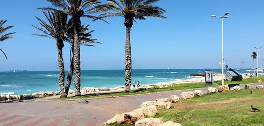 حالة الطقس: أجواء شديدة الحرارة نهارًا ولطيفة ليلًا 