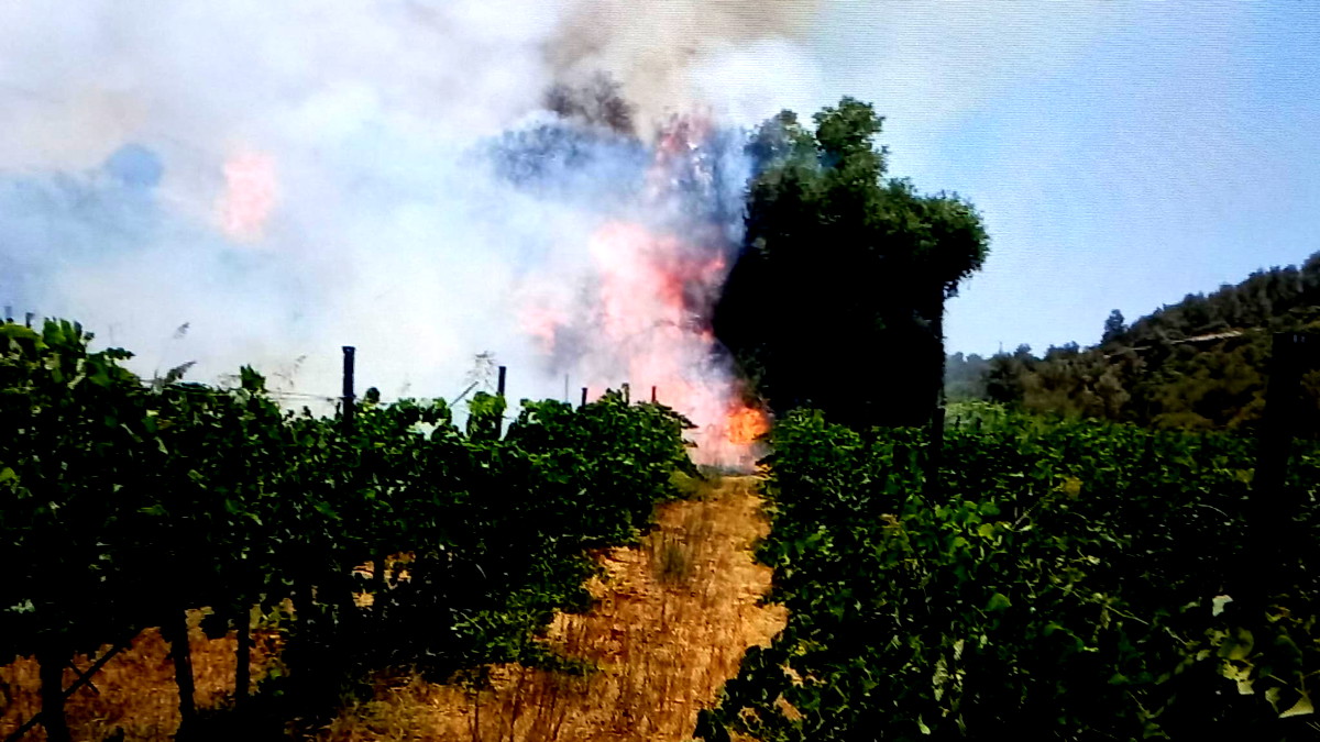 اندلاع حريق كبير في بساتين بمدينة القدس... انتشار سريع للنيران بسبب الأحوال الجوية