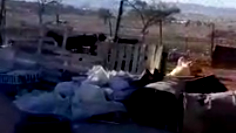 اعتداء على المواطنين! مجموعات من المستوطنين تقتحم العوجا شمال مدينة أريحا 