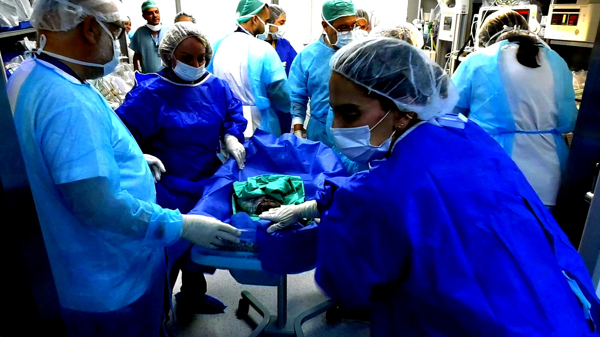 حدث استثنائي في المركز الطبي زيڤ: ولادتان لتوائم ثلاثية في عمليتين قيصريتين لامرأتين من الشمال بأقل من 5 ساعات!