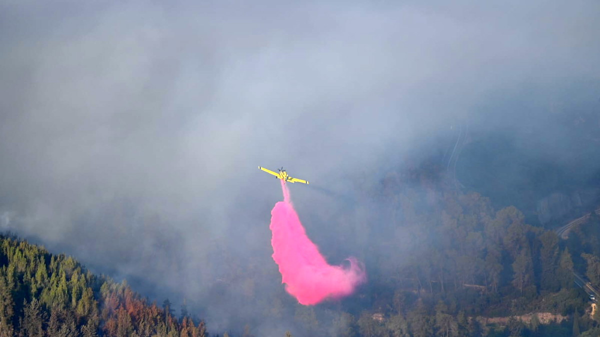 قرار بمنع إشعال النيران في جميع أنحاء البلاد من اليوم  وحتى تاريخ (31.07.2025)