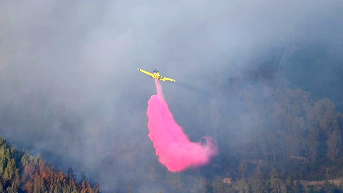 استمرار جهود إخماد حرائق جبال القدس مع دعم جوي.. طريق 386 يشهد إغلاقًا وفتحًا متقطعًا