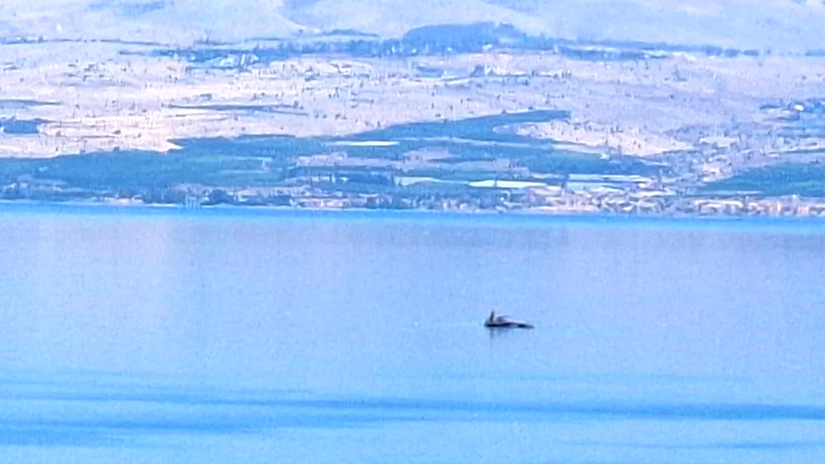  الحرارة في طبريا تلامس أل 41 درجة مئوية وتحذير من انفجار إسطوانات غاز الطهي على الشواطئ