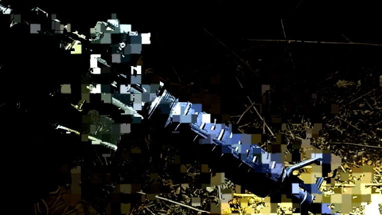 ام الفحم: الشرطة تداهم حفل زفاف وتضبط بندقية